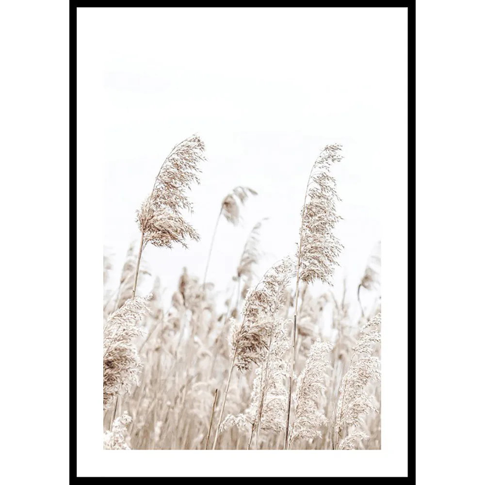Poster Gallerix Boho Dried In Nature No5