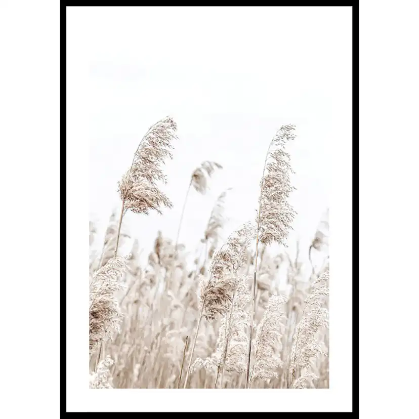 Poster Gallerix Boho Dried In Nature No5