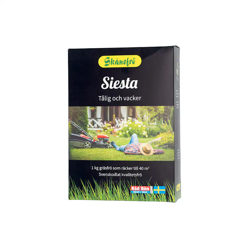 Gräsfrö Skånefrö Siesta
