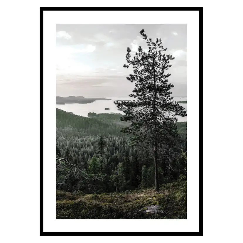 Poster Gallerix Lieksa