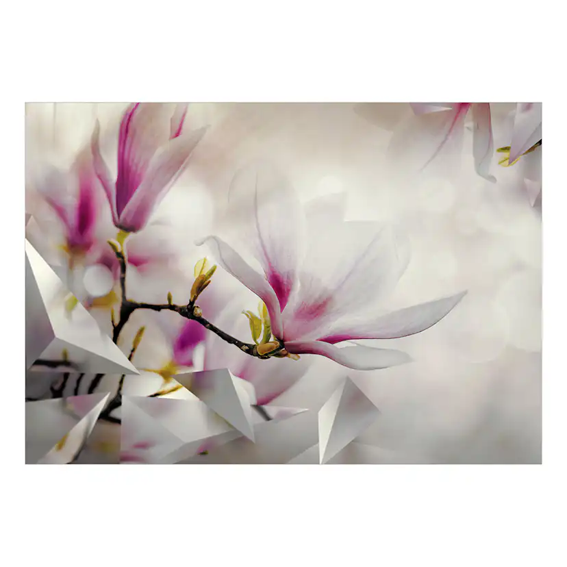 Fototapet Arkiio Subtle Magnolias - Third Variant