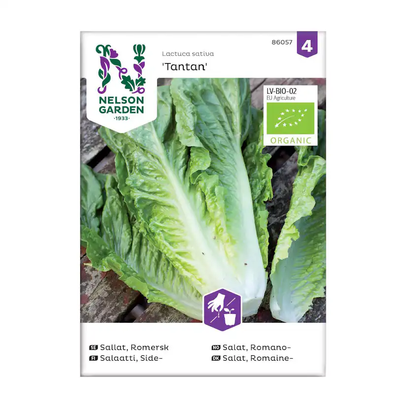 Frö Romersk Sallat Nelson Garden Tantan Organic