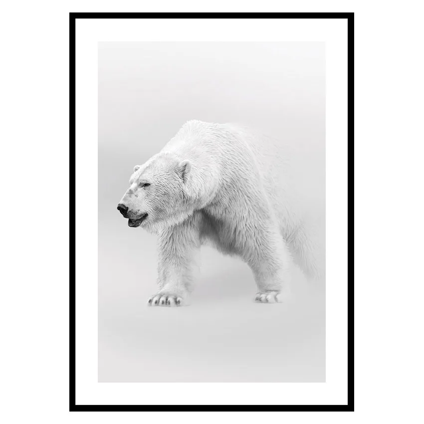 Poster Gallerix Faded Polar Bear