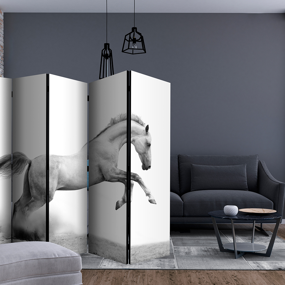 Rumsavdelare Arkiio White Gallop II 225x172 cm