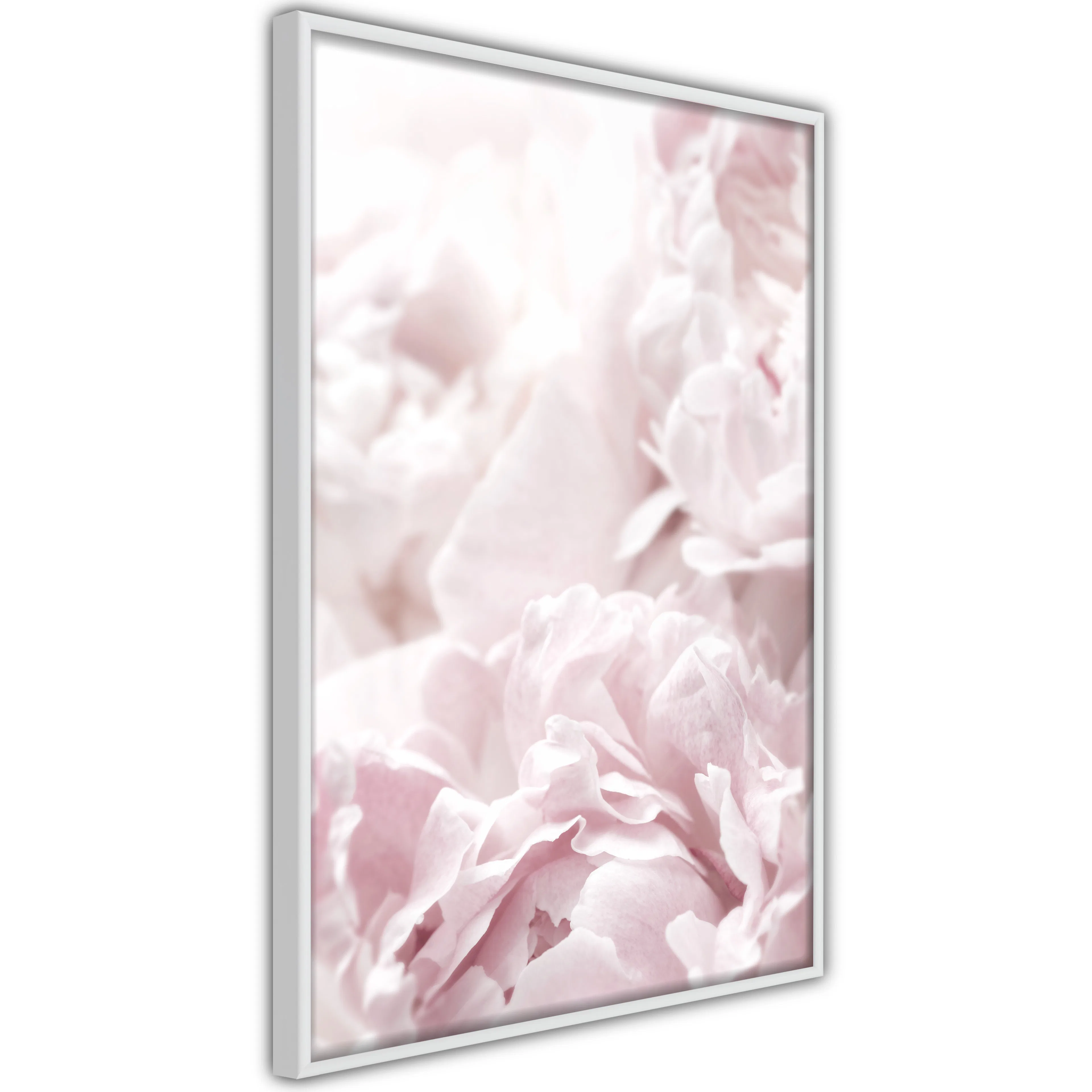 Poster Artgeist Affisch Fluffy Peonies