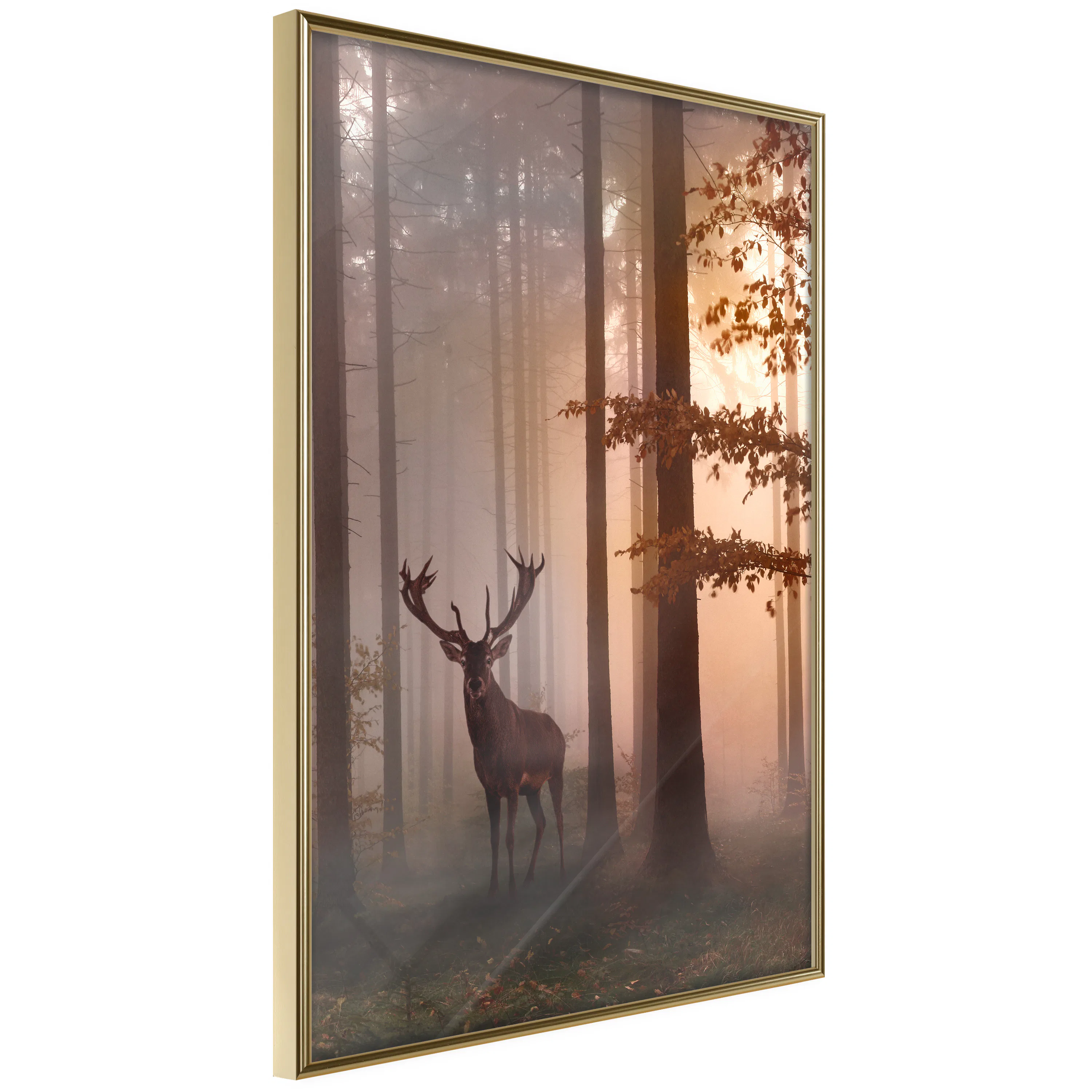 Poster Artgeist Affisch Morning