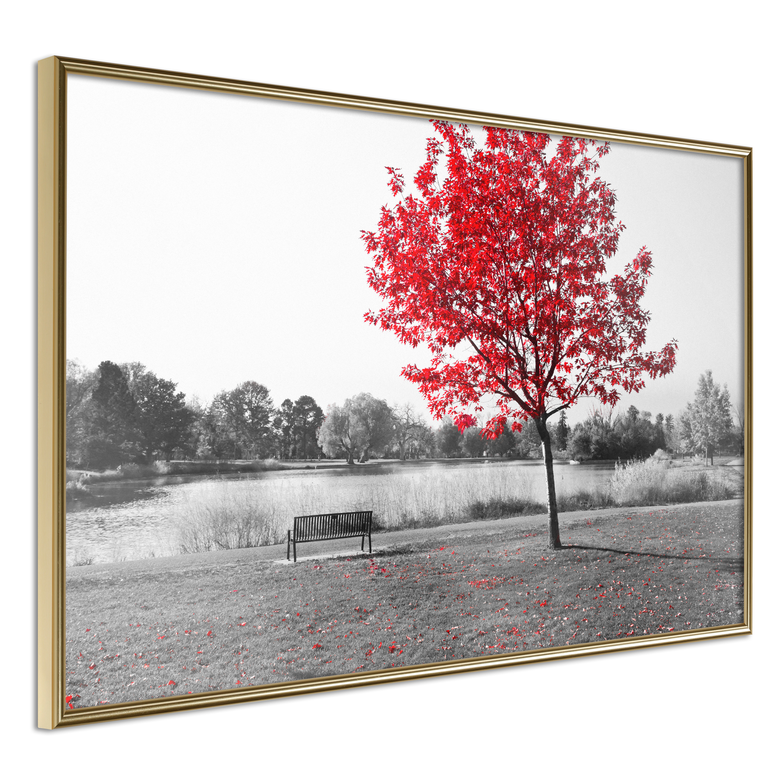 Affisch - Red Tree [Poster] 30x20 Guld ram, 30x20 cm