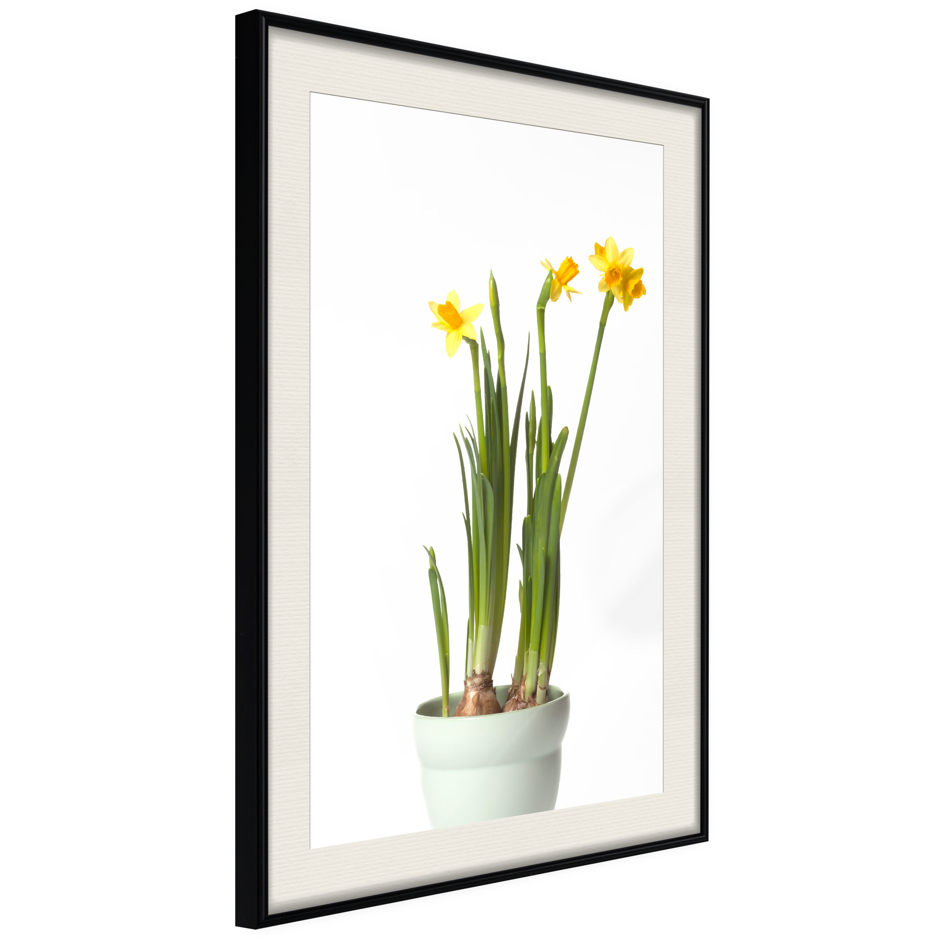 Affisch - Narcissus [Poster] 20x30 Svart ram med passepartout, 20x30 cm