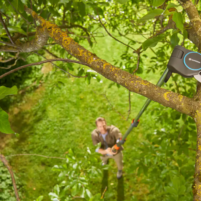 Toppsax Gardena StarCut Pro L