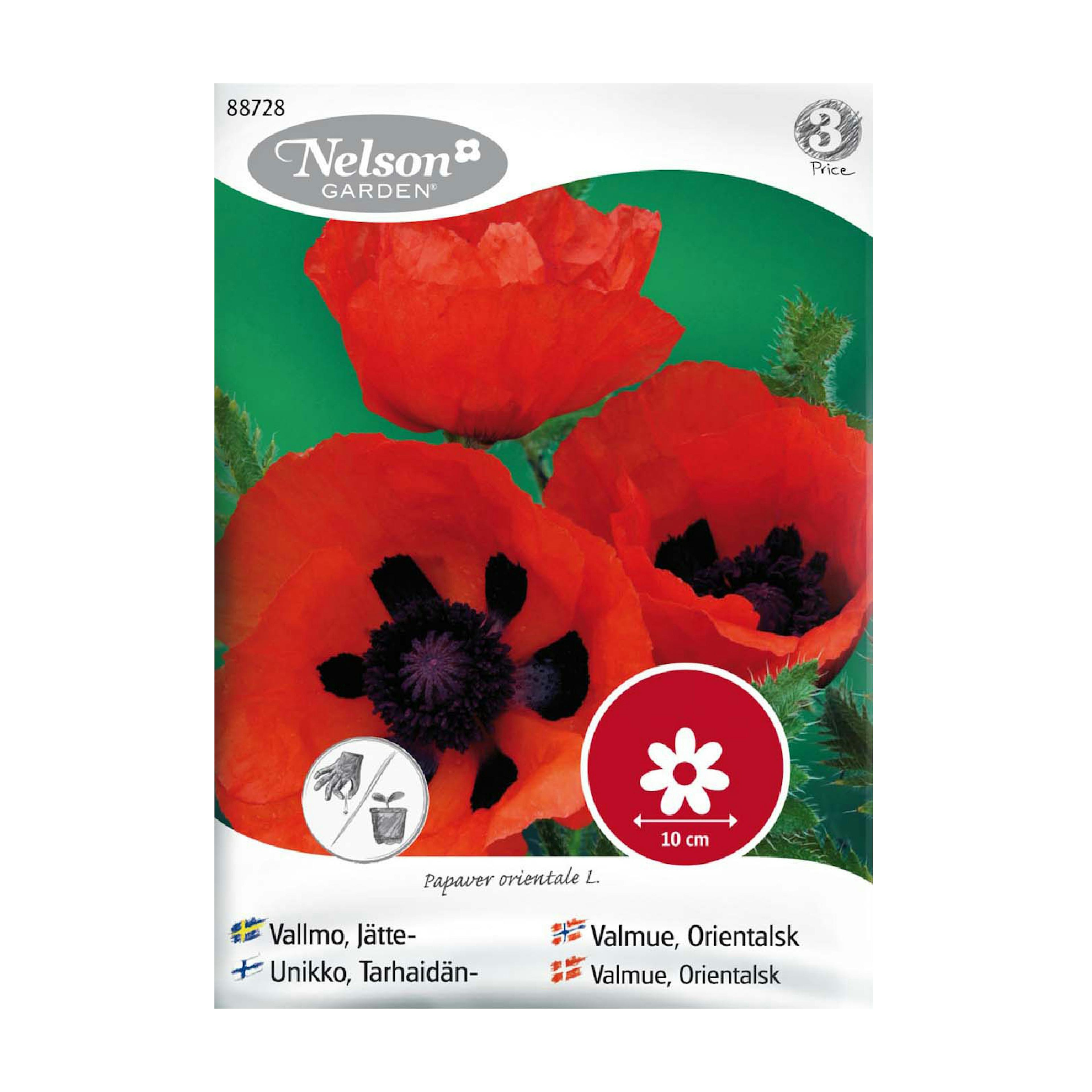 Frö Jättevallmo Nelson Garden Orangeröd