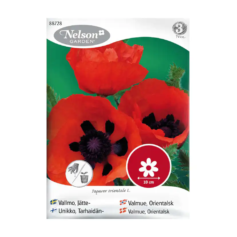 Frö Jättevallmo Nelson Garden Orangeröd