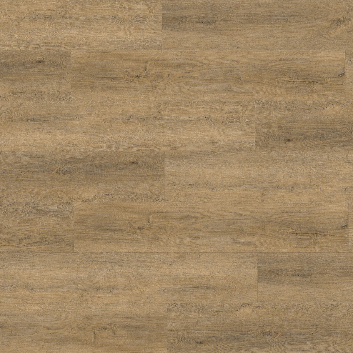Vinylgolv Floorit X-Cellent Sophora Softec