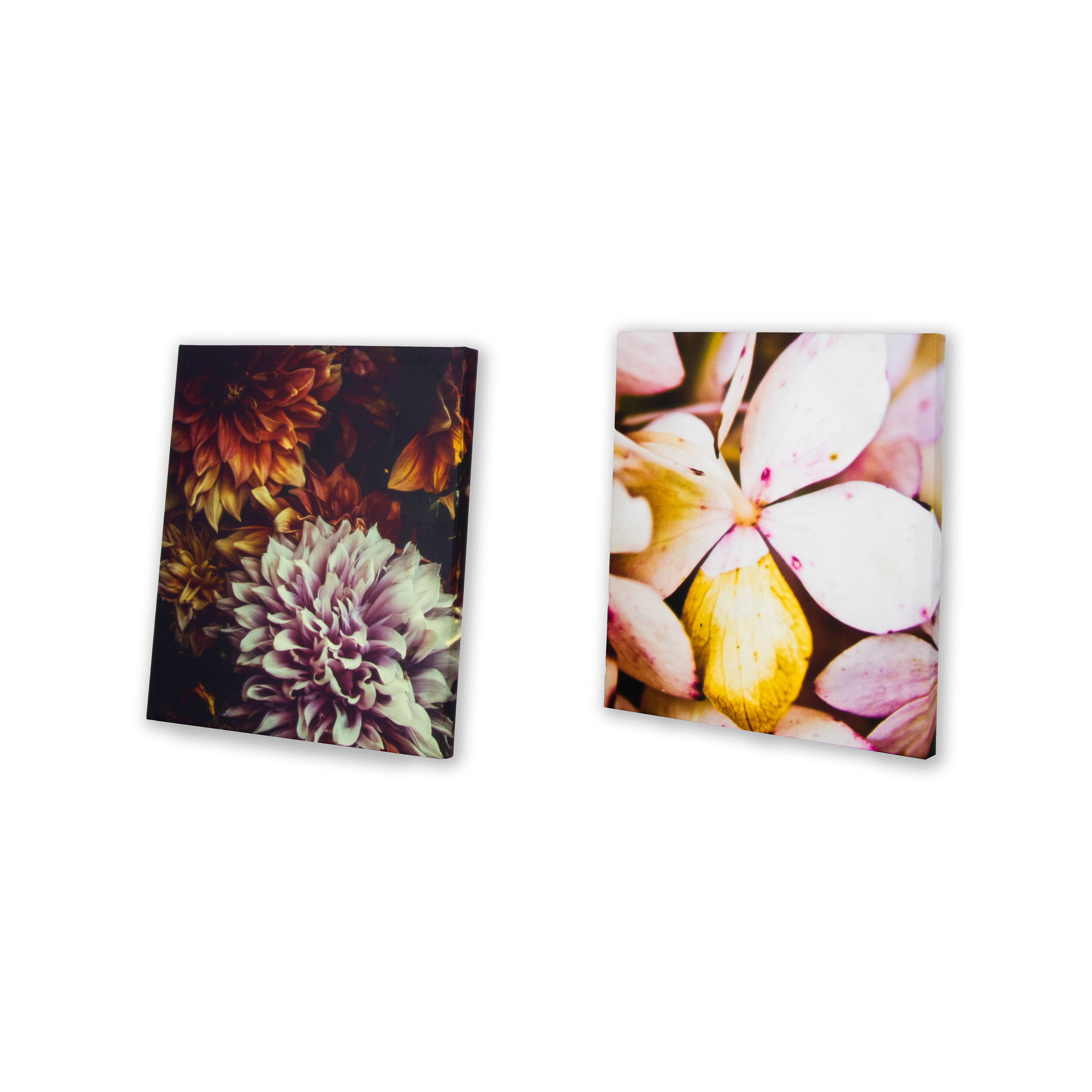 Canvastavla Art For The Home Set av 5 Soft Temptation Ett hav av Blommor 80x60cm