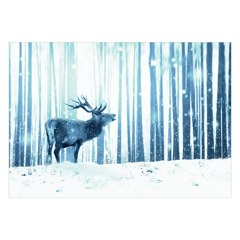Fototapet Arkiio Deer In The Snow Blå
