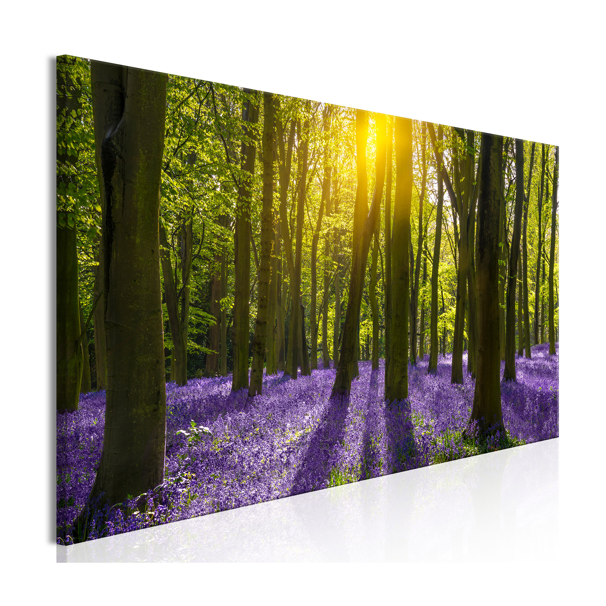 Tavla Arkiio Hyacinth Field