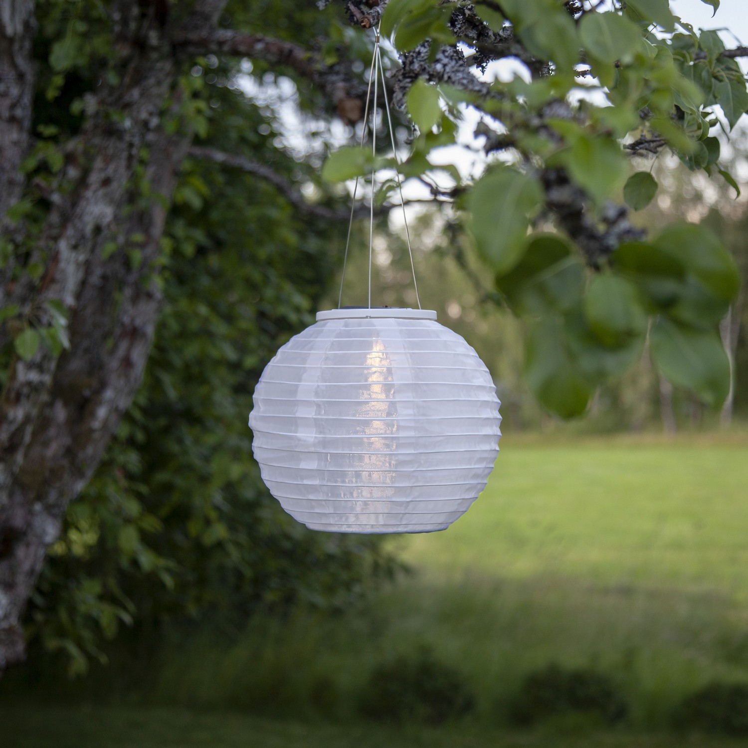 Solcellsdekoration Star Trading Festival 25  cm Vit