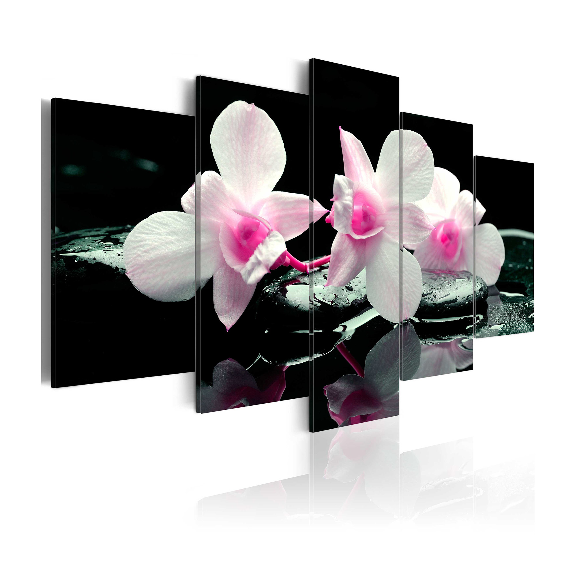 Tavla Arkiio Rest Of Orchids