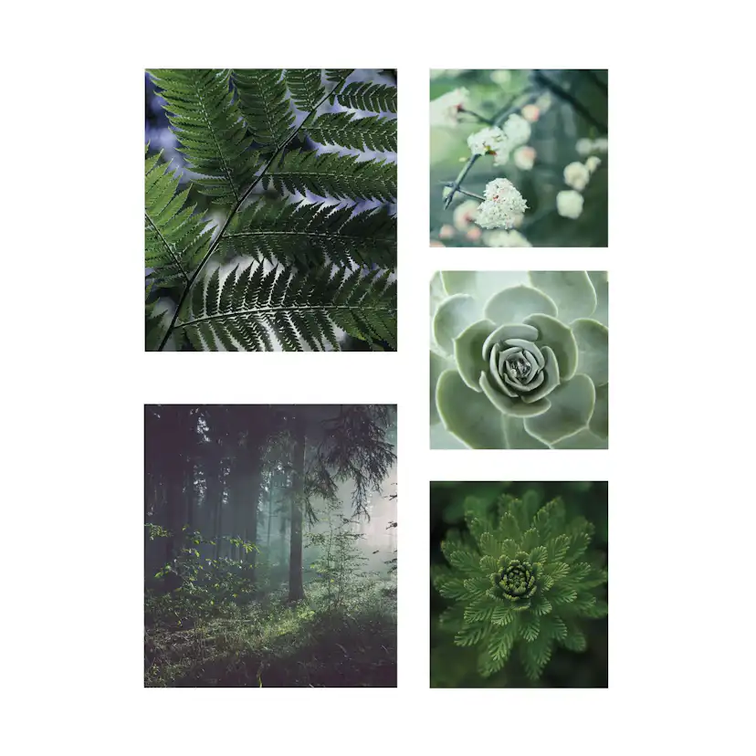 Tavla Art For The Home 5 Delar Ren Natur