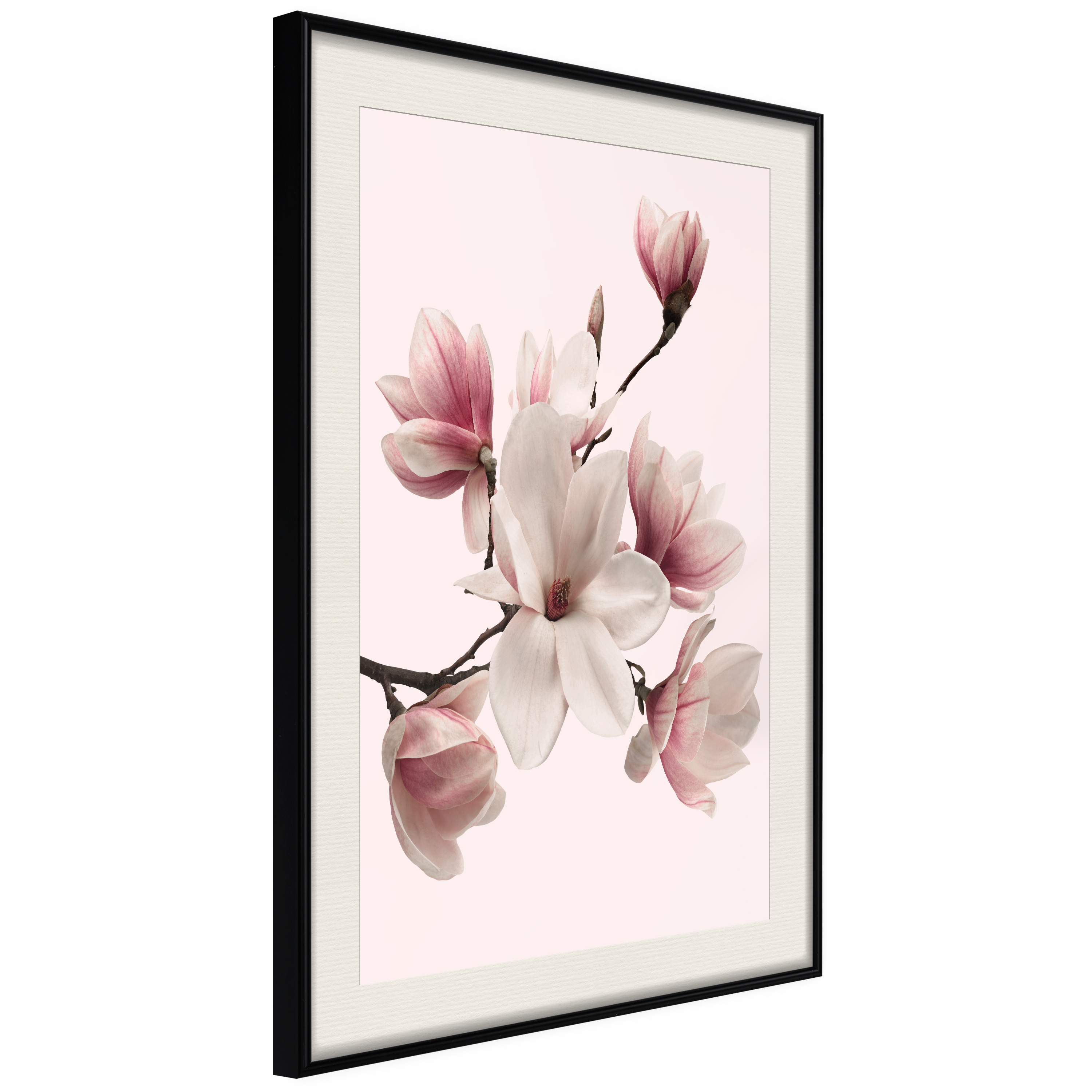 Affisch - Delicate Magnolias [Poster] 40x60 Svart ram med passepartout, 40x60 cm