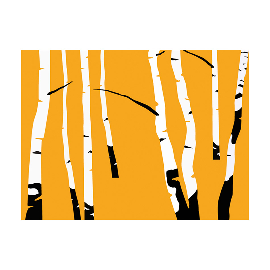 Birches on the orange background 350x270 Storlek: 350x270 cm