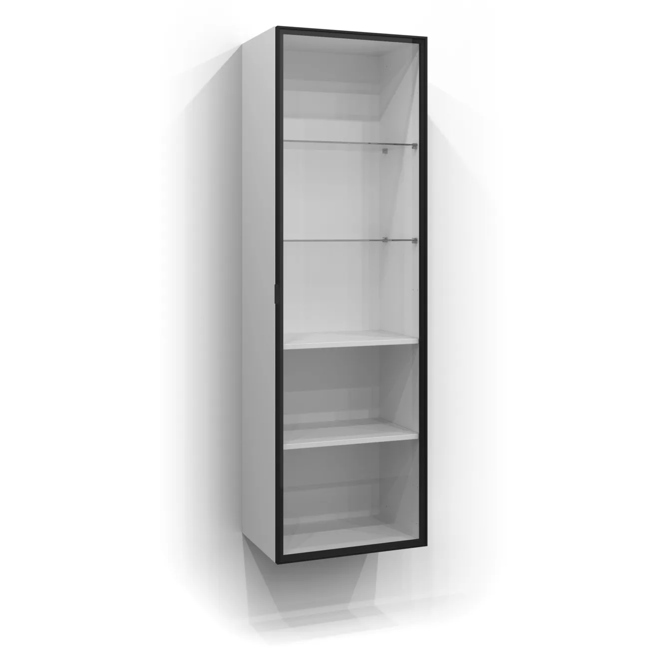 Dörr Högskåp Ram 160x50 Svart matt/Klar BxH: 500 x 1600 mm, Mattsvart, Klarglas