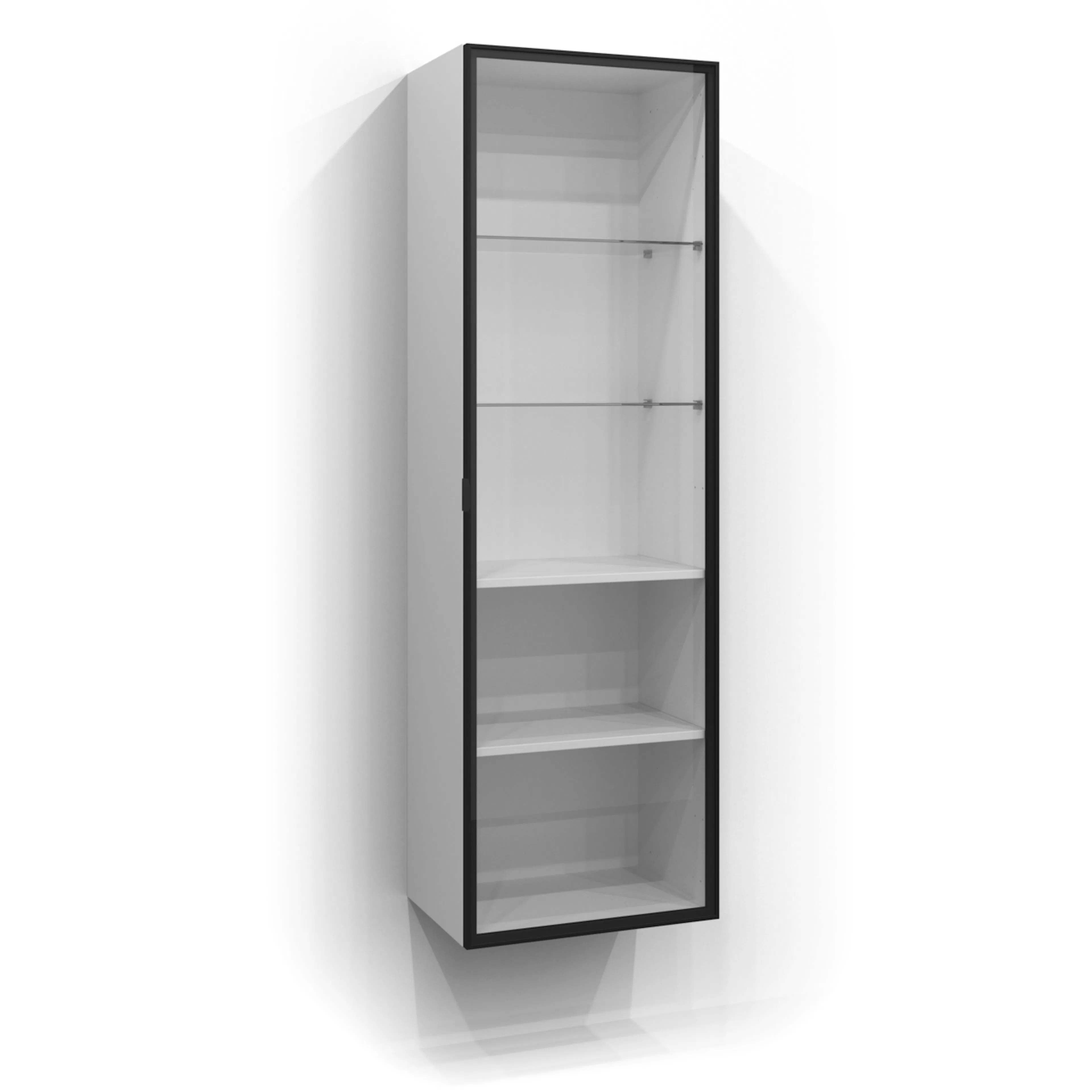 Dörr Högskåp Ram 160x50 Svart matt/Klar BxH: 500 x 1600 mm, Mattsvart, Klarglas