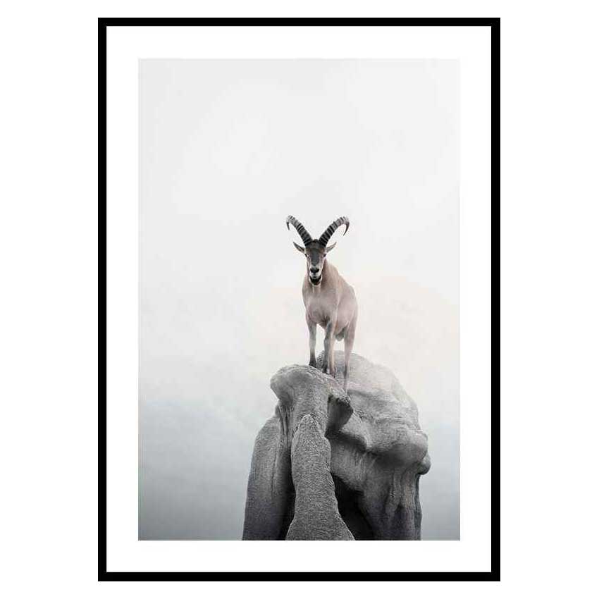 Poster Gallerix Intent Ibex