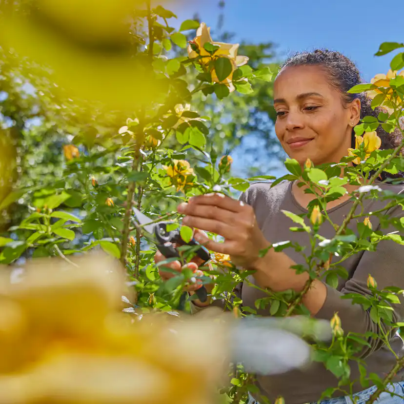 Sekatör Gardena PremiumCut Flex