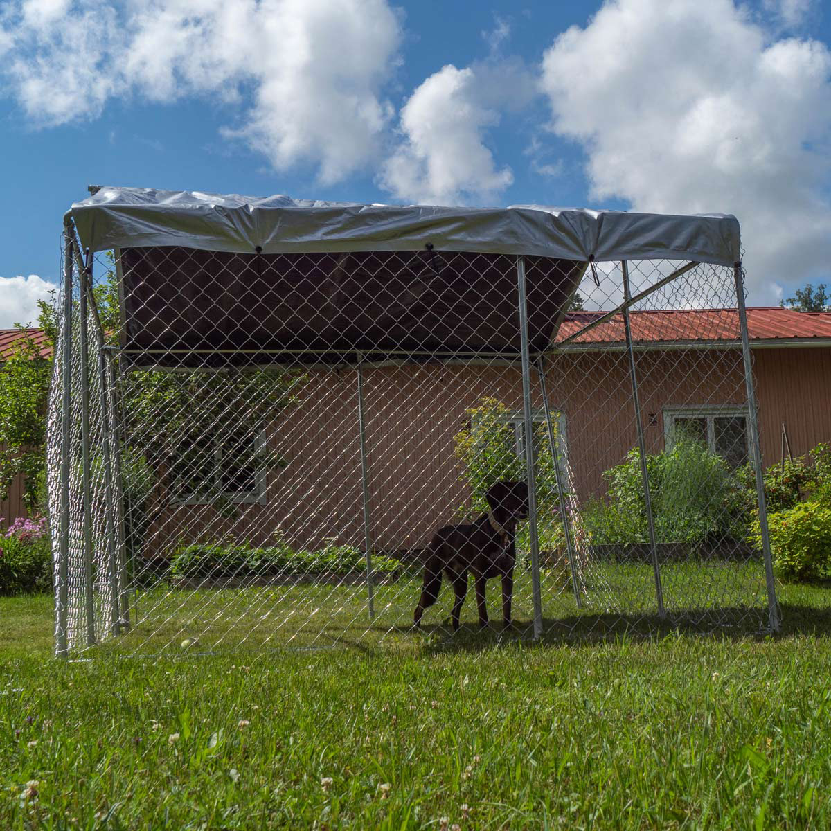 Hundgård Trekker Med Tak
