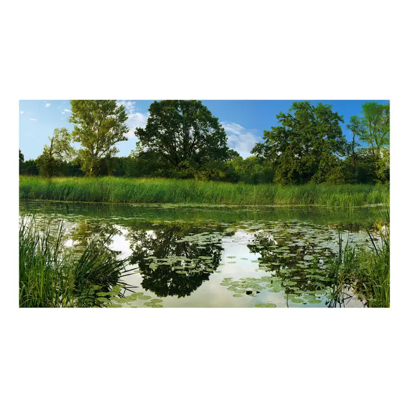 Fototapet Arkiio Självhäftande The Magic Pond II 490x280