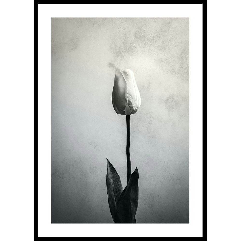 Poster Gallerix Serendipity