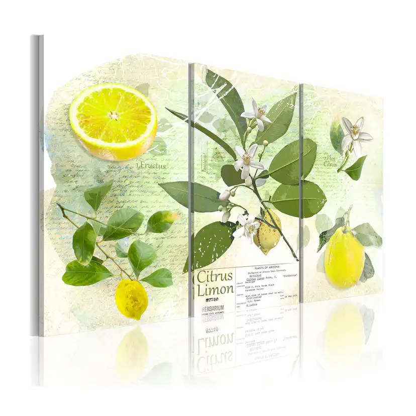Tavla Arkiio Fruit Lemon