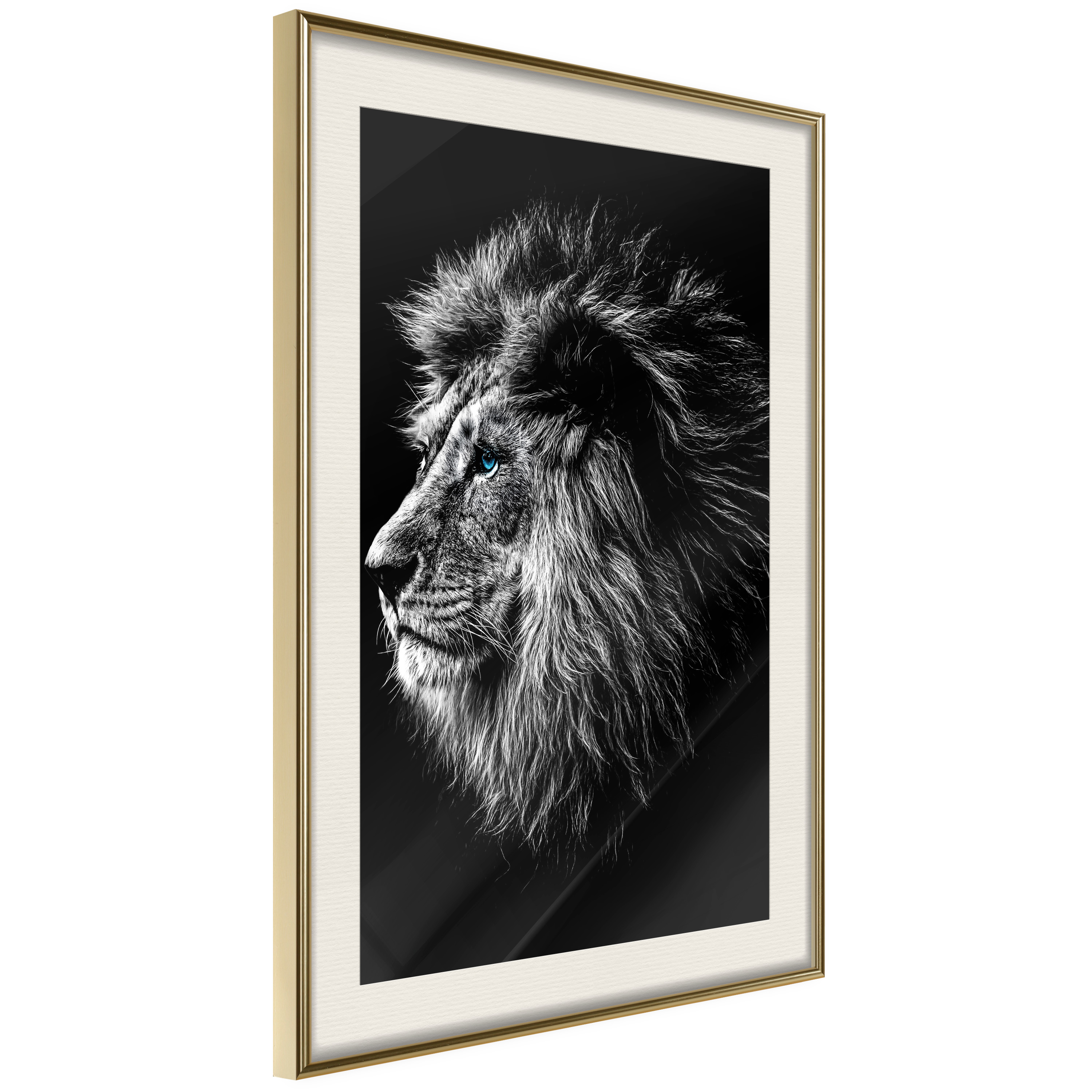 Poster Artgeist Affisch Blue-eyed Lion