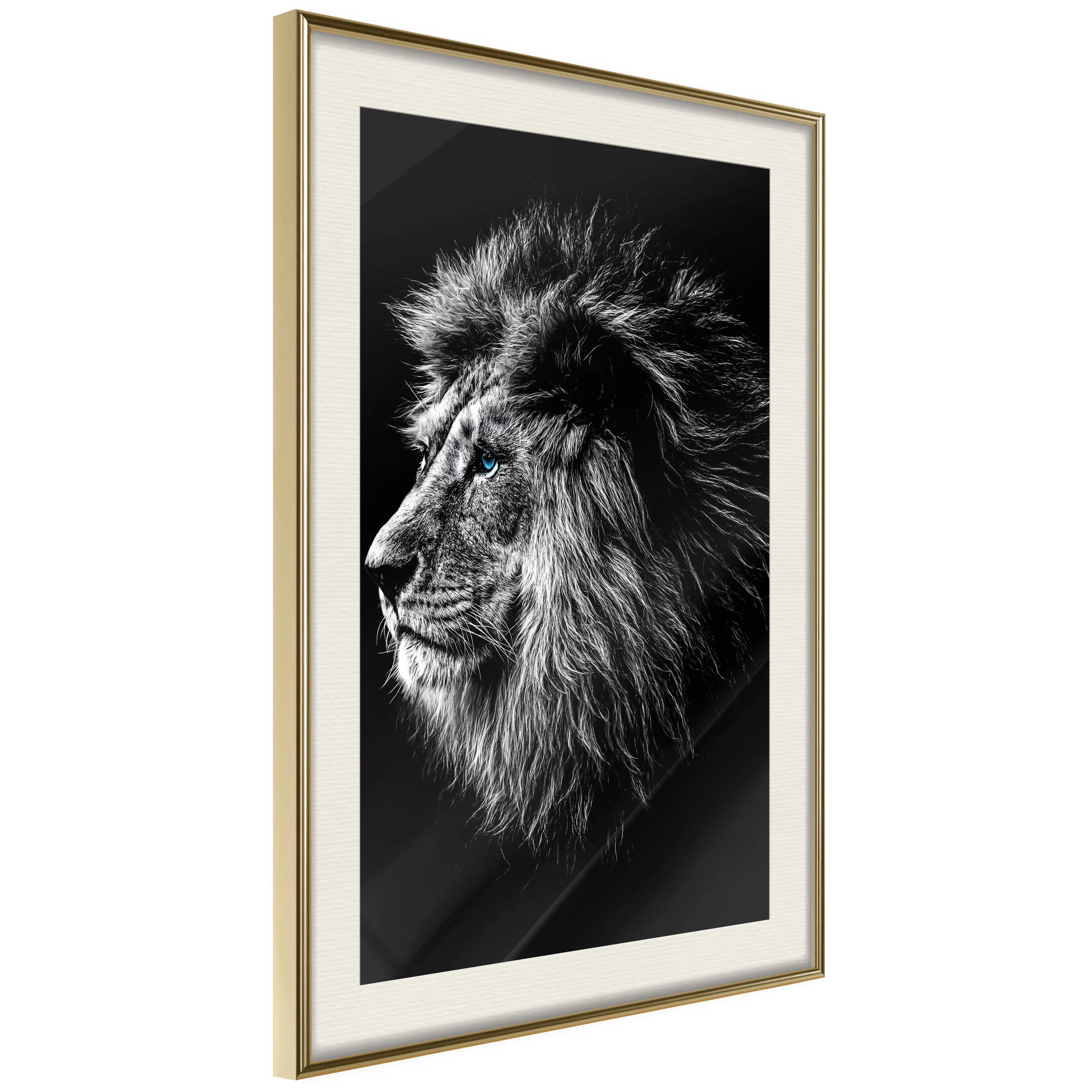 Poster Artgeist Affisch Blue-eyed Lion
