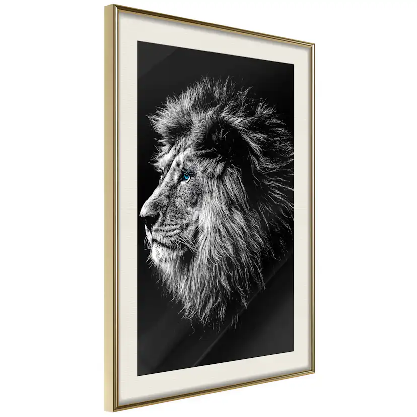 Poster Artgeist Affisch Blue-eyed Lion