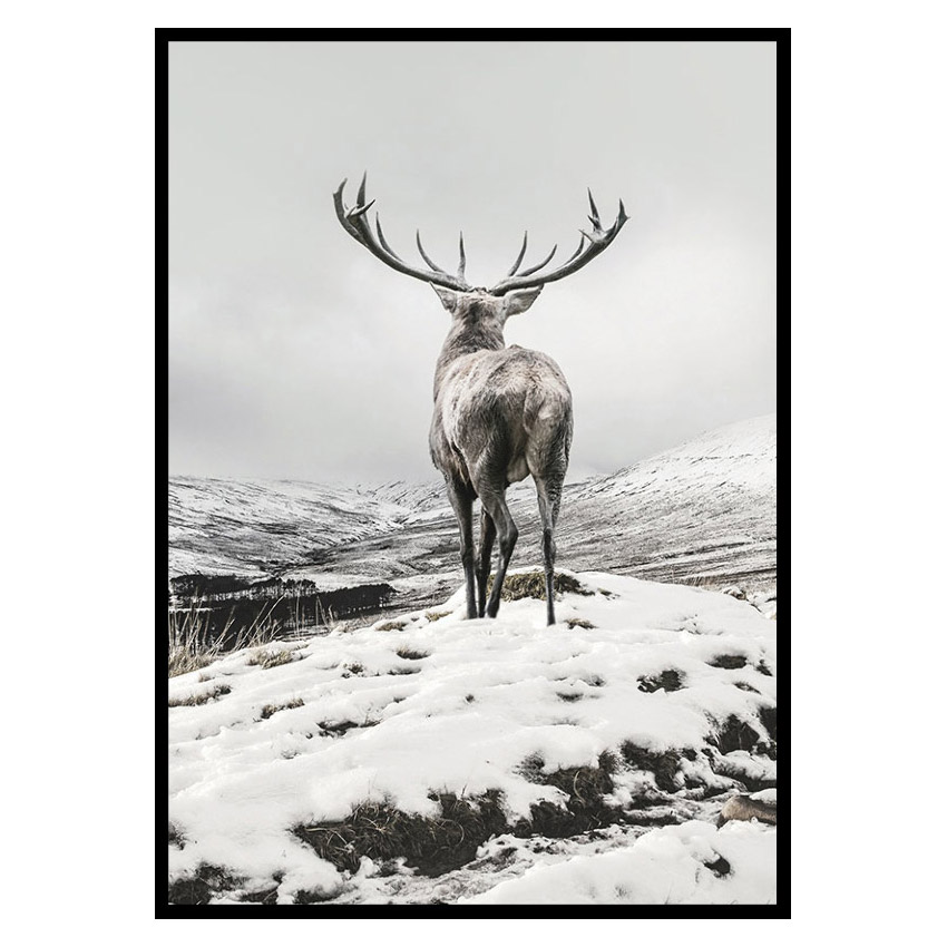 Poster Gallerix Winter Roe Deer