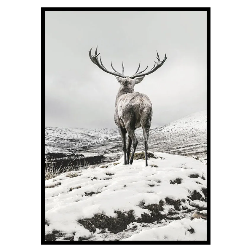 Poster Gallerix Winter Roe Deer