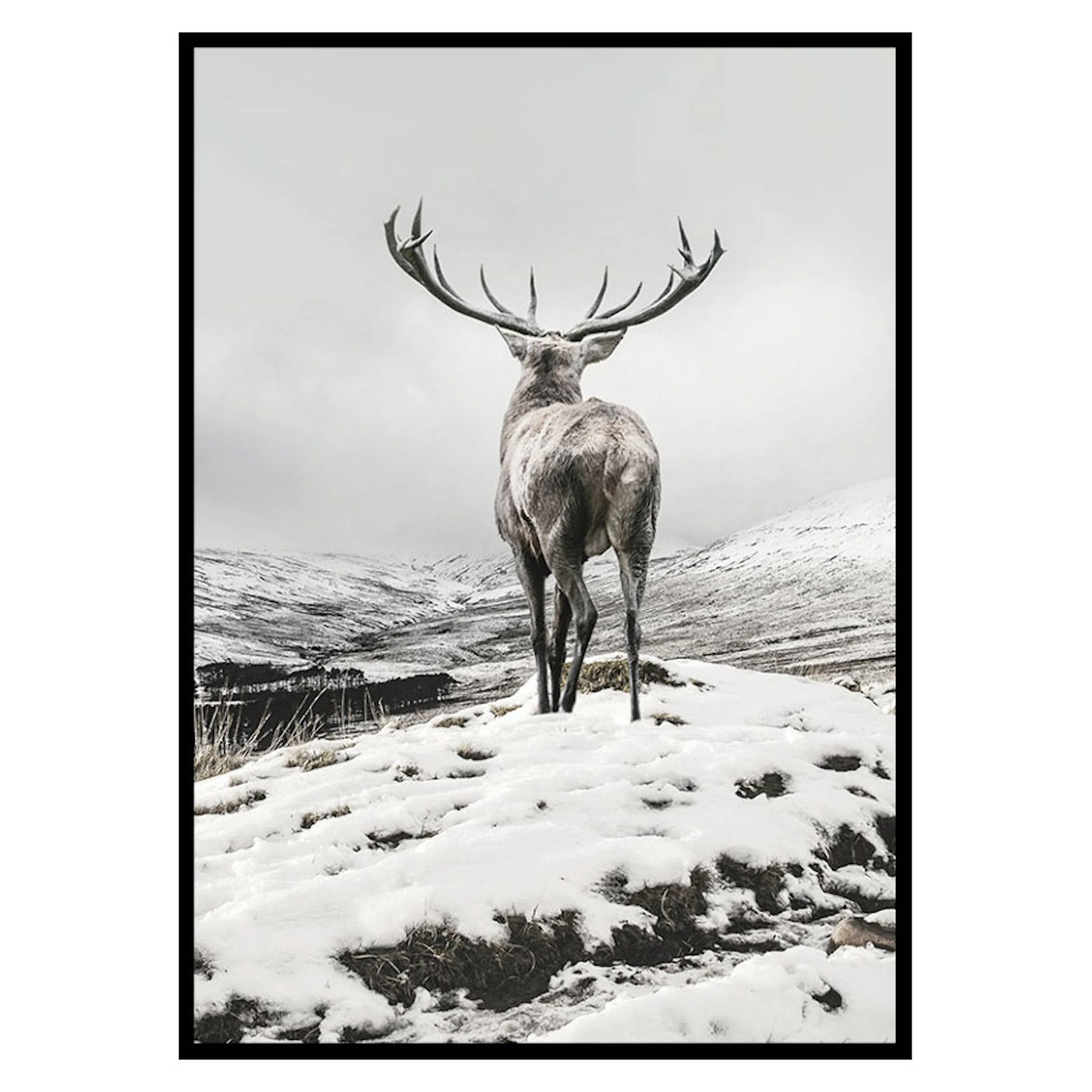 Poster Gallerix Winter Roe Deer
