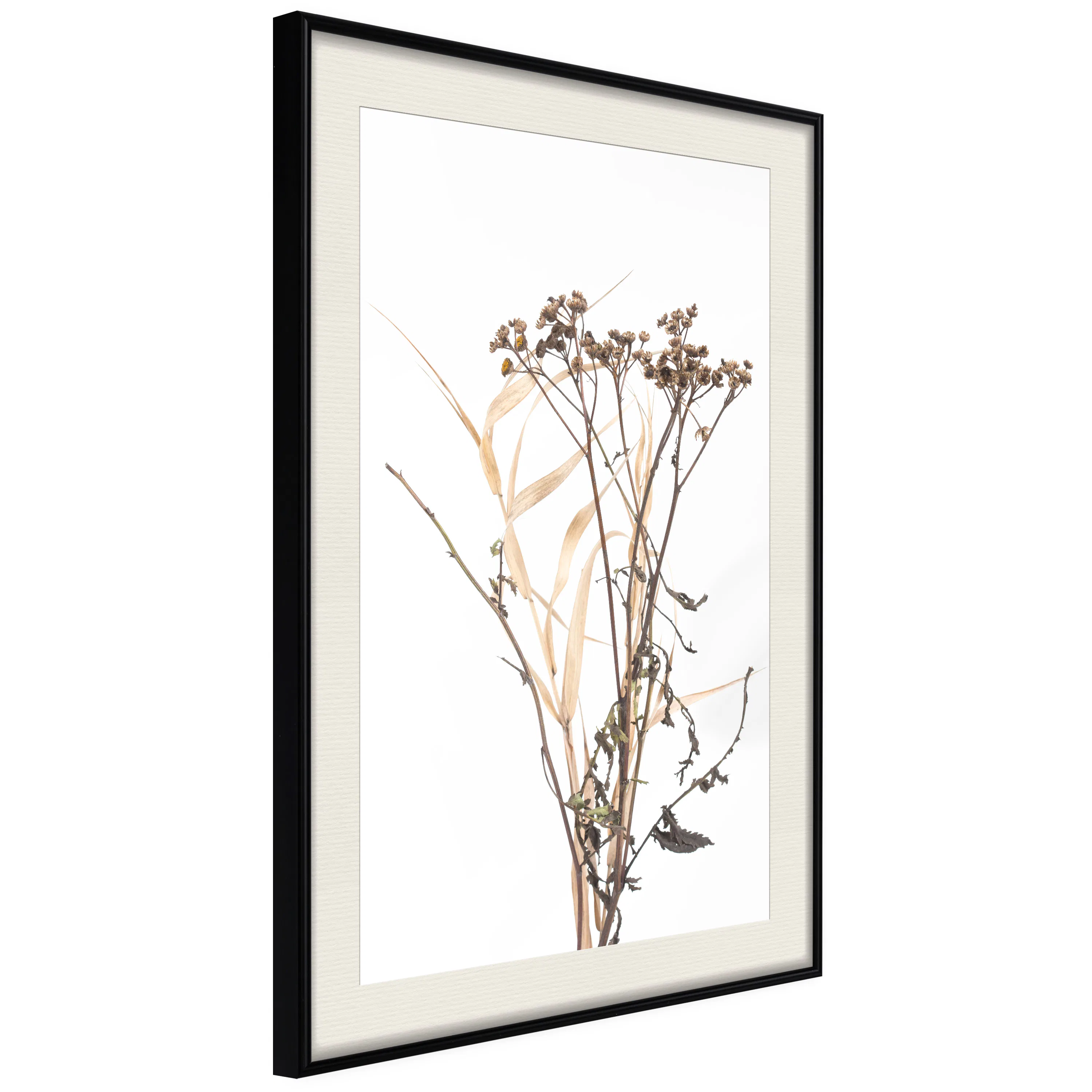 Poster Artgeist Affisch Camomile