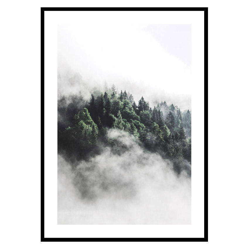 Poster Gallerix Forest In Mist