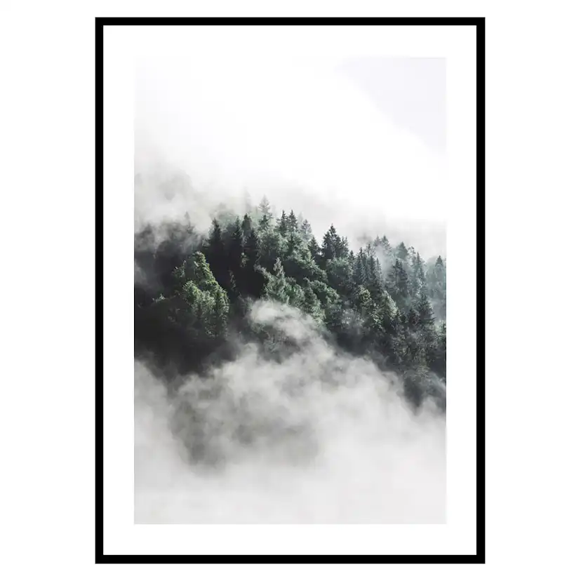 Poster Gallerix Forest In Mist