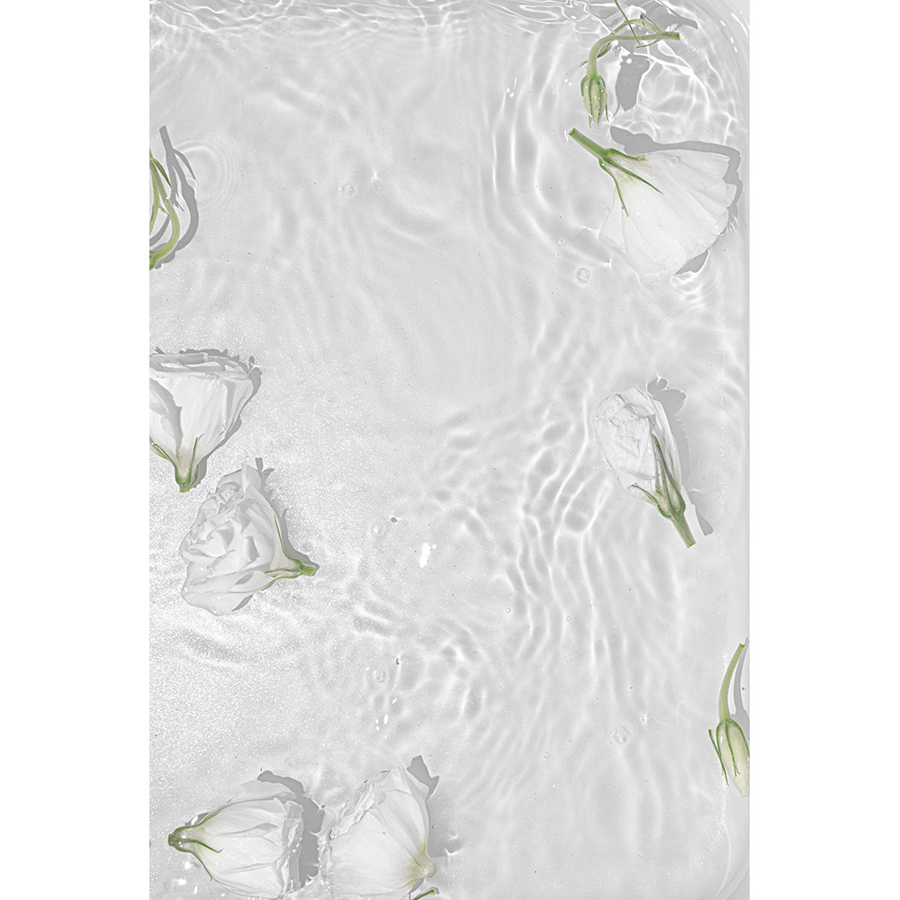 Posters Venture Home White Roses Vit
