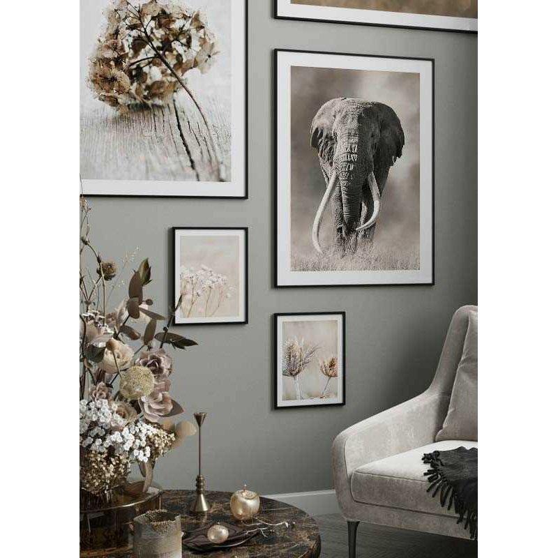 Poster Gallerix Elephant Tusks