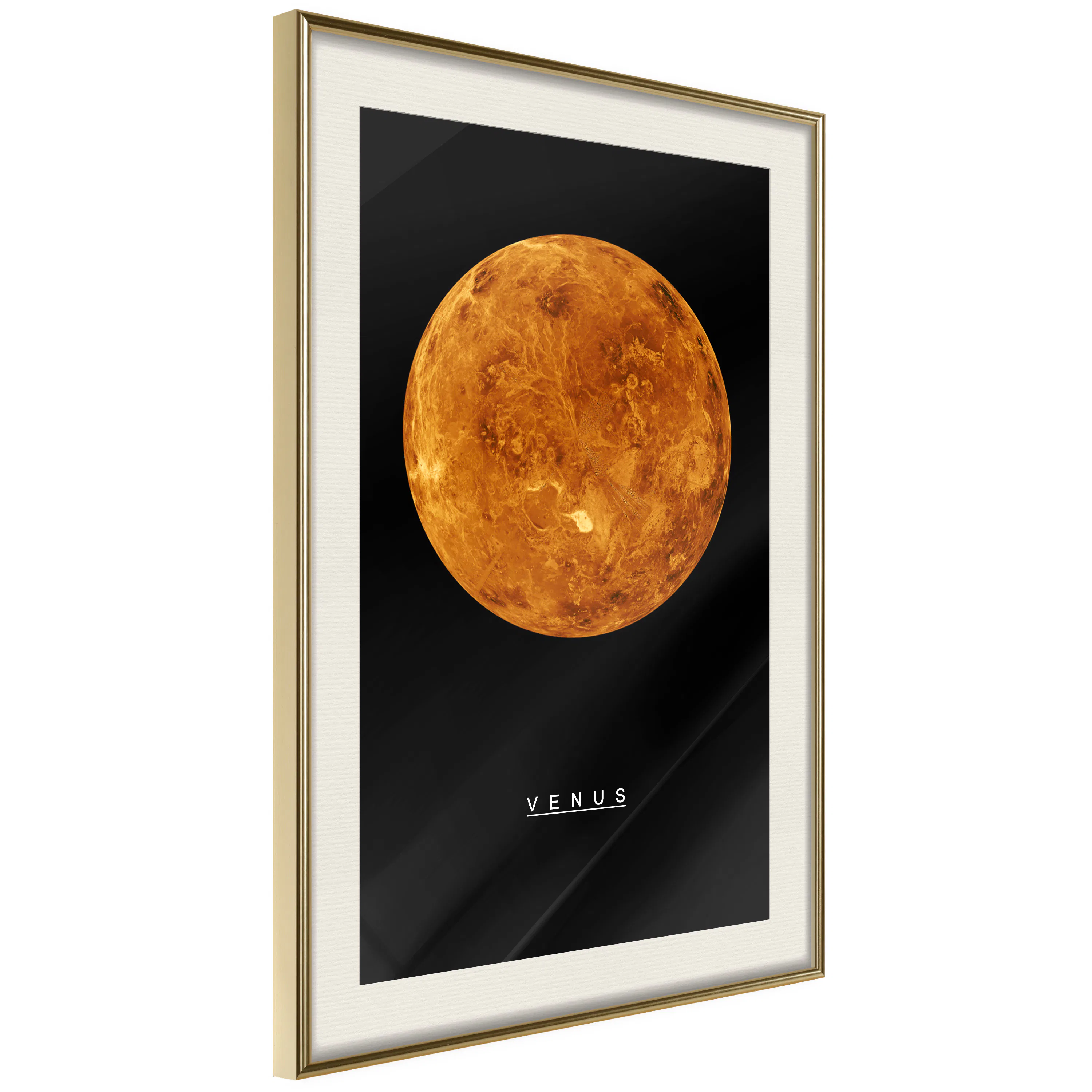 Poster Artgeist Affisch Venus