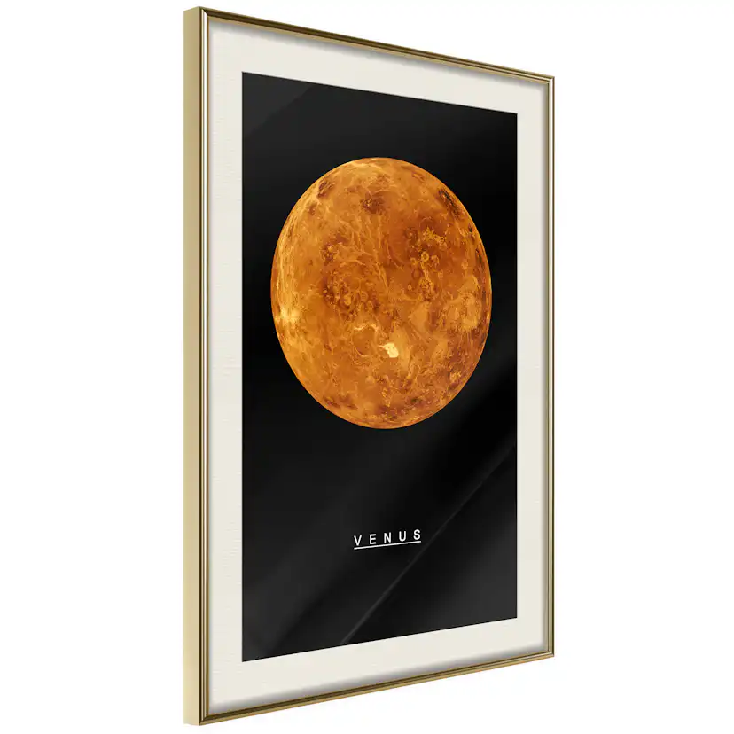 Poster Artgeist Affisch Venus