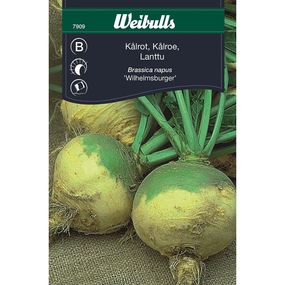 Frö Kål Weibullsrot