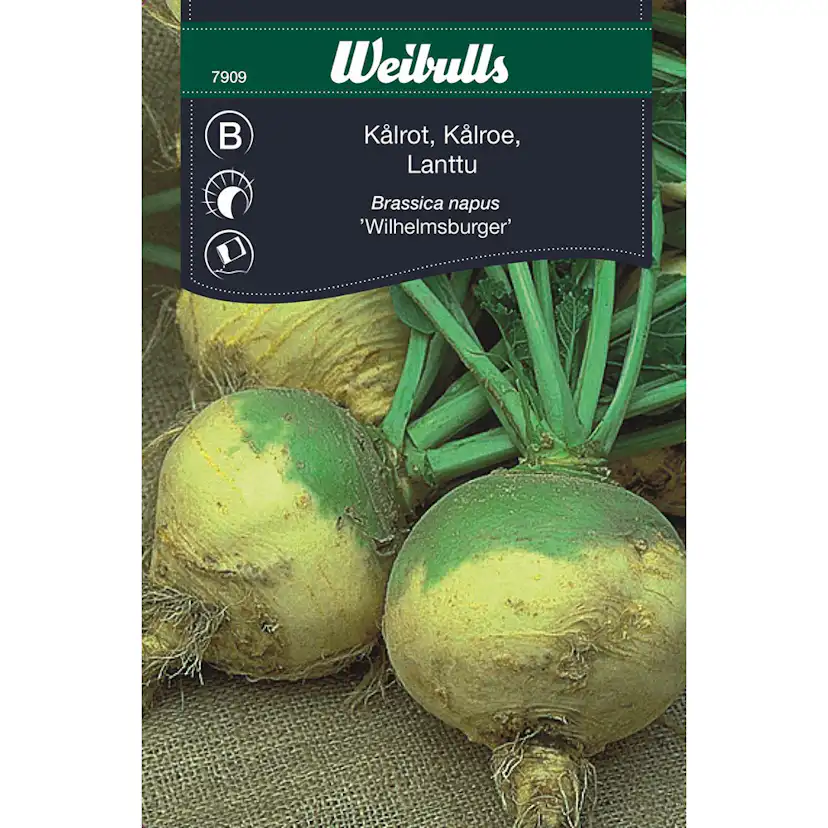 Frö Kål Weibullsrot