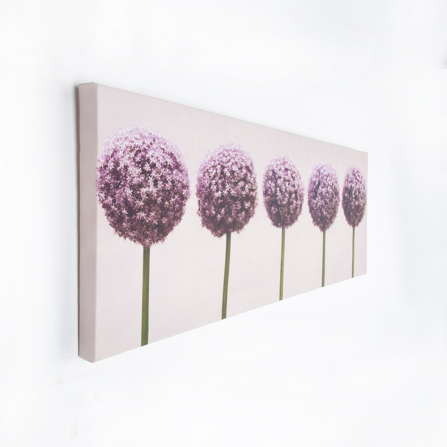 Tavla Art for the Home Alliums In A Row