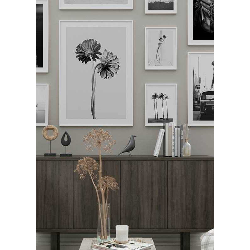 Poster Gallerix Daisies Intertwined