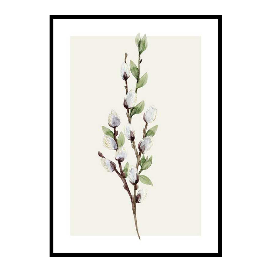 Poster Gallerix Willow Branches